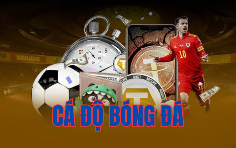 CÁ ĐỘ BÓNG ĐÁ GK88 - Cập Nhật Tỷ Lệ Tốt Nhất Thị Trường