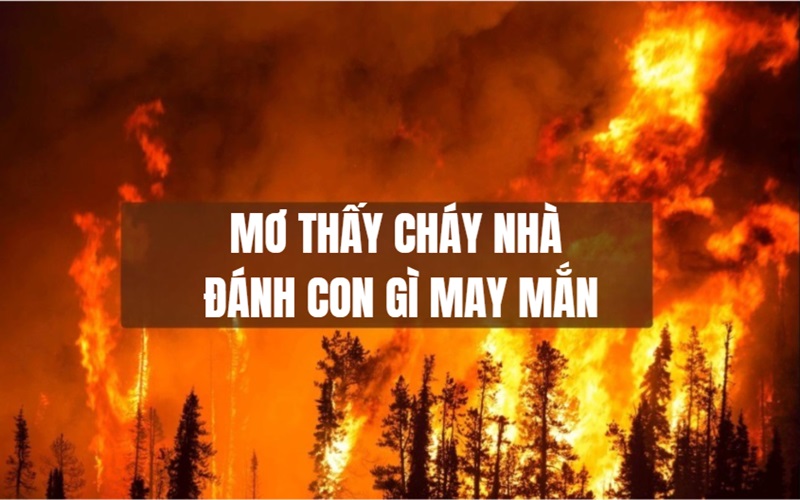 Mơ Thấy Cháy Nhà Đánh Số Gì? Tổng Hợp Các Con Lô May Mắn