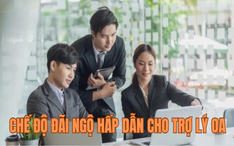 Tuyển Dụng Trợ Lý OA - Chế Độ Đãi Ngộ Hấp Dẫn